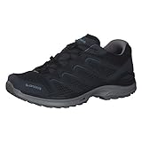 Lowa Herren Halbschuh Maddox Goretex Outdoorschuh Kombinationen blau Gr. 44