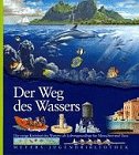 Der Weg des W