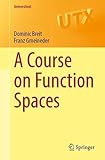 A Course on Function Spaces (Universitext)