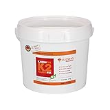 Schamottemörtel Made in Germany für die einfache und schnelle Reparatur. Ofen und Kaminmörtel Feuerfester Mörtel Feuerbeton Kaminfix K2 (4kg Eimer)