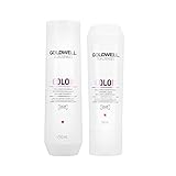 Goldwell Dualsenses Farbbrillanz Shampoo 250 ml und Conditioner 200