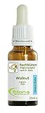 Joy Bachblüten, Essenz Nr. 33: Walnut; 20ml Stockb