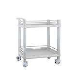 I will take action now 2-Tier-Full-ABS-Krankenwagen mit Universalrollen | 3-Shelf Beauty Friseurwagen Rollwagen | Gebrauchswagen für Labor, Schönheitssalon, Klinik (Color : 2-Tier, Size : L)