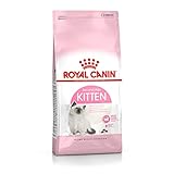 Royal Canin 55103 Kitten 10 kg