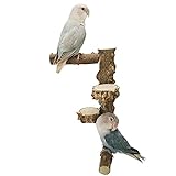 Luckxing Natur Sitzstangen für Vögel Papagei Barsch Naturholzstangen Vogelkäfig Zubehör für Wellensittiche, Kanarienvogel, Papagei u.a. Vög