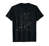 Steinbock Sternbild Tierkreis Horoskop Sterne Capricorn T-S