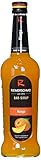 Riemerschmid Bar-Sirup Mango (1 x 0.7 l)