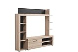 Mar.c.a. Design - Ausstattung Wohnzimmer Sofia Eiche antik und schwarz, TV-Schrank, Regale aus schwarzem Laminat, Griffe aus schwarzem Stahl, geeignet für Wohnzimmer - 172 x 33 x 157