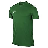 NIKE Herren Kurzarm T-Shirt Trikot Park VI, Grün (Pale Green / White/302), XL