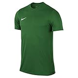 NIKE Herren Kurzarm T-Shirt Trikot Park VI, Grün (Pale Green / White/302), XL