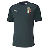 PUMA Jungen FIGC Training Jersey Jr T-Shirt, Ponderosa Pine-Peacoat, 152