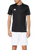 adidas Herren Trikot Core 18, Black/White, XL, CE9021