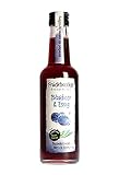 Fruchtwerker | Blaubeer & Essig | Mit Saft aus echten Früchten | 250ml G