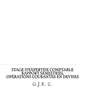 Stage d'expertise comptable - Rapport semestriel - Opé
