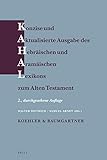 Konzise Und Aktualisierte Ausgabe Des Hebräischen Und Aramäischen Lexikons Zum Alten Testament: (new Edition - Paperback) (Du)