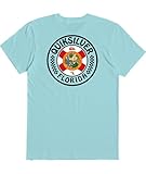 Quiksilver Mens Fl Wave The Flag Tee (Blue Tint, Small)