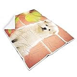 Rtisandu Kuscheldecke Weißer indischer Spitzwelpe Wohndecke Hochwertige Fleecedecke Gedruckt Sofadecke für Zelten Blanket White 150x200