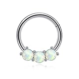 PiercingJak Chirurgenstahl Segmentring Clicker mit Opal 16G Universal Piercing Ring für Septum Helix Tragus Daith Rook Nasenpiercing Lippenpiercing Ohrpiercing 8mm, Silber/Gold/Roseg