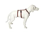 Feltmann No Exit ausbruchsicheres Hundegeschirr für Angsthund, Sicherheitsgeschirr für Pflegehunde, Panikgeschirr, Super Soft, Cognac, Bauchumfang 75-100 cm, 25 mm Bandb