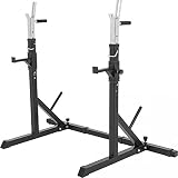 GORILLA SPORTS® Langhantelablage - 79 x 150-190 x 133 cm, Verstellbar, mit Dip-Griffen, bis 250 kg belastbar - Squat Rack, Kniebeugenständer, Langhantelständer, Hantelständer, Hantelablag