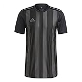 adidas Striped 21 T-Shirt Black/Tmdrgr 2XL