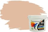 RyFo Colors Bunte Wandfarbe Manufakturweiß Sand 3l - weitere Orange Farbtöne und Größen erhältlich, Deckkraft Klasse 1, Nassabrieb Klasse 1