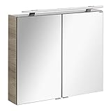 FACKELMANN LED Spiegelschrank Luxor/Badschrank mit Soft-Close-System/Maße (B x H x T): ca. 80 x 68 x 16 cm/Schrank fürs Bad mit Spiegel und LED-Aufsatzleuchte / 2 Türen/Korpus: B