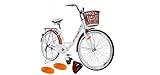 BDW 26 Zoll Damen Mädchen City Trekking Fahrrad Rad Bike Damenrad Cityfahrrad Damenfahrrad Cityrad Trekkingfahrrad Trekkingrad 1 Gang, Korb KOSTELNOS