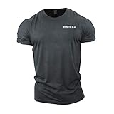 GYMTIER Gym Kleidung für Männer – Gym T-Shirt Bodybuilding Workout T-Shirt Training Top MMA Herren Active Wear, grau, L