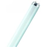 Osram,Osram L 36 W / 840 36 Watt Lumilux T8 Leuchtstofflampe, kü