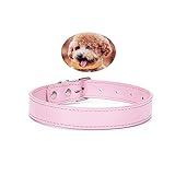 Dracol Verstellbares Katzen und Hunde Halsband besteht aus PU Leder, Weiches Haustier-Halsbänder, verstellbares Hundehalsband mit Sicherheitsschnalle, eine Vielzahl von Größen zur Ausw