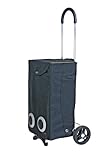 EZetil Elektrokühltasche ESC36 S 12V Shopping Trolley, Schwarz, 36x21x94,5