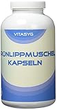 Vitasyg Grünlippmuschel Kapseln - 300 Kapseln - 600mg pro Kapsel hoch dosiert - ohne Magnesiumstearat - Made in Germany