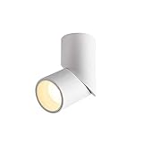 GYZLZZB Weiß Drehbare Adjustable Surface Mounted Down Hotels Shopping Mall Wohnzimmer Startseite Kommerzielle Licht-Deckenleuchte COB Hohe Helligkeit LED-Scheinwerfer (Color : 4000K)