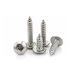 Selbstschneidende Schrauben 25/50 Stück M3 M4 M5 304 Edelstahl Flachkopf Blechschrauben Rundkopf Fachwerk Pilzschrauben (Farbe : M5 25pcs, Size : 10mm)