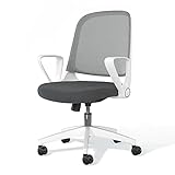 Dripex Bürostuhl, ergonomischer Schreibtischstuhl mit Rollen, Bürostuhl mit Netzbespannung, Verstellbarer Armlehne, Lendenwirbelstütze und Wippfunktion, für Büro Arbeitszimmer Home Office (Edelgrau)