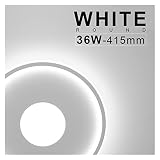 XKSO-QPTY Smart Deckenleuchte Wohnzimmer Moderne LED-Lichter for Raumschlafzimmer Lampen Fernbedienung Dimmen Weiß Schwarz Runde Innenbeleuchtung (Body Color : White 36W, Emitting Color : Warm White)