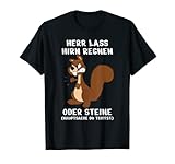 Büro Humor Eichhörnchen Herr Lass Hirn Regnen Oder Steine T-S
