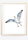 Din A4 Kunstdruck ohne Rahmen - Kreischende Möwe - Seemöwe Vogel Meer Maritim Badezimmer Aquarell Querformat Druck Poster B