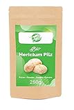 Bio Hericium Pilz Pulver 250g | Igelstachelbart | vegan | natürlich | ohne Z