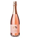 SCHORLEFRANZ® Franzi Rosé Sekt | Trockener & Fruchtiger Geschmack | Pinot Noir Made In Germany | Super Geschenkidee (12% Vol.) (0,75l)