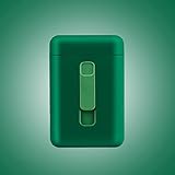 ErZhuiZi Zigarettenetui mit USB Feuerzeug Zigarettenetui für 20 Stück Rechargeable Windproof Flameless Feuerzeug,G