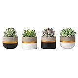 Mkouo 8cm Zement Succulent Pflanzen Modern Concrete Kaktus Blumentöpfe Small Clay Innen Herb Window Box Container for Home and Office Decor, Set of 4 (Pflanze Nicht enthalten)