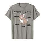 Anatomie eines Hasen lustige Kaninchen Erklärung T-S
