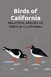 Birds of California: Beautiful Species of Birds in California: Guide to Identify Birds of California (English Edition)