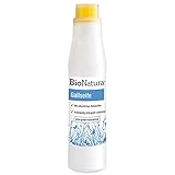 BioNatura Gallseife mit Bürste zur Fleckenentfernung, bio (1 x 250ml)