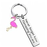 PiniceCore Keychain Keychain Vogel Liebhaber Schmuckgeschenk Sie Sind Für Familien-Tier-Liebhaber-Geschenk Für F