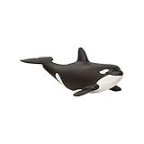 SCHLEICH 14836 Orka Junges Baby Orca Wild Life, Black