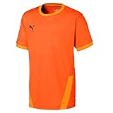 PUMA Unisex Kinder, teamGOAL 23 Jersey jr Trikot, Golden Poppy-Flame Orange, 128