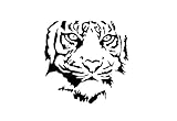 NEU - Wadeco - WANDTATTOO Tiger Motiv - 4 Größen - Raubkatze ​- Tiger Wandsticker - Wandaufkleber Raufaser - Moderne Home Dekoration für dein Eingang, Wohn-/Schlafzimmer,